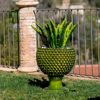 Immagine di Pigna vaso verde frantoio