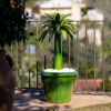 Picture of Vase green olives press